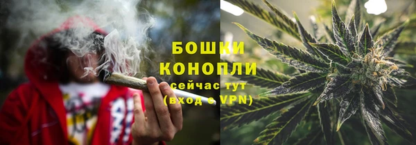 дживик Бородино