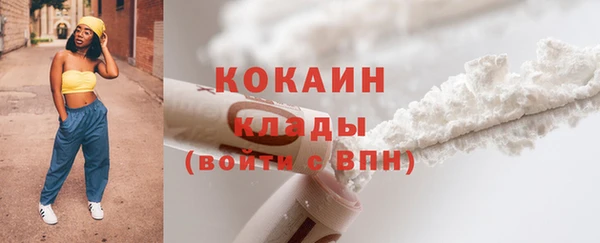 дживик Бородино