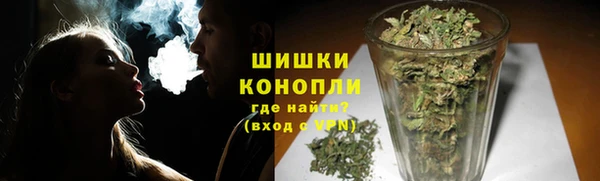 PSILOCYBIN Бугульма