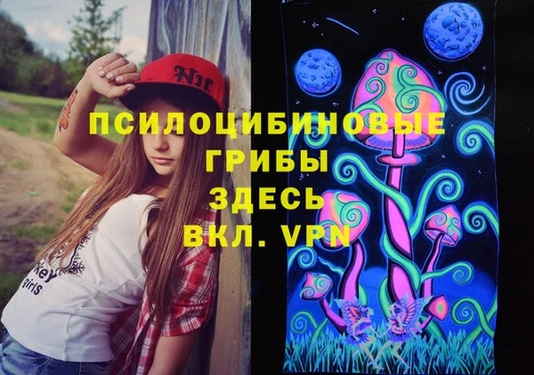 дживик Бородино