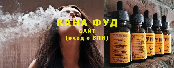 дживик Бородино