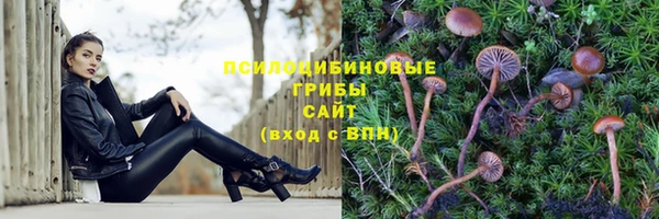 дживик Бородино