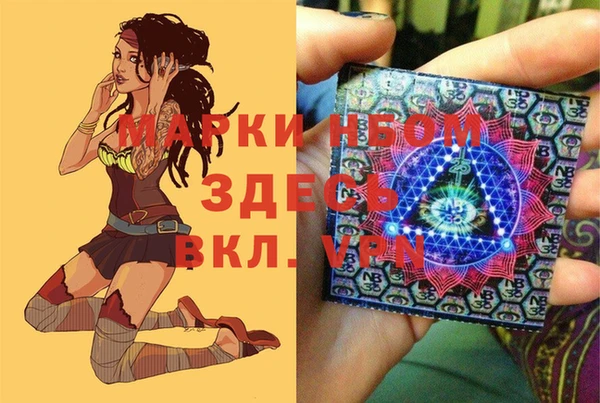 дживик Бородино