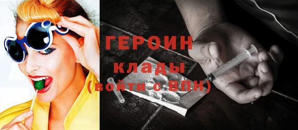 дживик Бородино