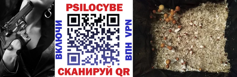 где продают   Петрозаводск  Галлюциногенные грибы Psilocybine cubensis 